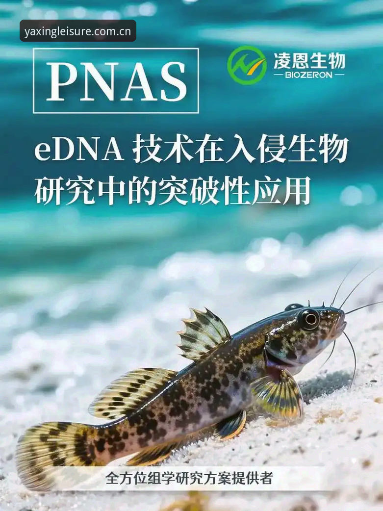 亚星体育安卓版 揭秘亚星体育安卓版背后的技术革新:从44.9MB到全场景娱乐生态的突破